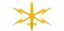 Cyber Insignia Cyber Insignia