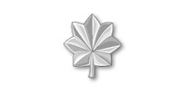 Lieutunant Colonel (LTC) Lieutunant Colonel (LTC)
