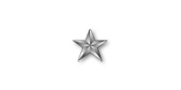 Brigadier General (BG) Brigadier General (BG)