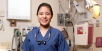 U.S. Army dentista en una sala de tratamiento