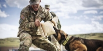 Soldier and Military Dog